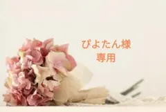 ぴよたん様 リクエスト 3点 まとめ商品