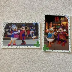 ディズニー スペシャルフォト