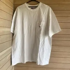S729.20 THE NORTH FACE XL ホワイト Tシャツ