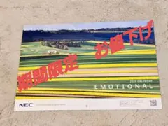 Item thumbnail for item d0b11aec-6a1b-444f-a623-8d8cfbb69717