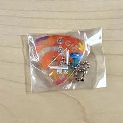 セ*イ様 ジャイガ 2026 ピック型キーホルダー ガチャ 櫻坂46 - メルカリ