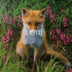 専用　KeMi様