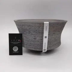 三州みやび鉢 OK-04 鶴仙園モデル classic onibath オニバス - メルカリ