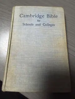 Item thumbnail for item 15f602a7-b94b-4e78-baf2-f0de85b1ee7a