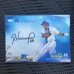 Item thumbnail for item 72d3ea98-454e-46f9-b140-e2ab01ab2550