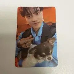 NCT127 STICKER トレカ　テイル　STICKER ver