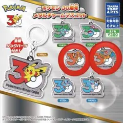 ポケモン30周年 メタルチャームマスコット ヒトカゲ＆リザードン セット