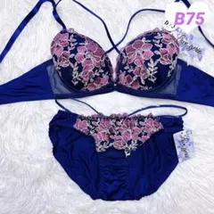 ブラショーツセット B75 刺繍 花柄 キュート ネイビー 下着 258017