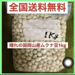 晴れの国岡山産ムクナ豆1kg自然農