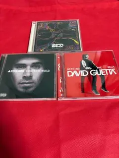 EDM レコードまとめ売り2枚セットdavidguetta デヴィッドゲッタ EDM レコードまとめ売り2枚セットdavidguetta デヴィッドゲッタ