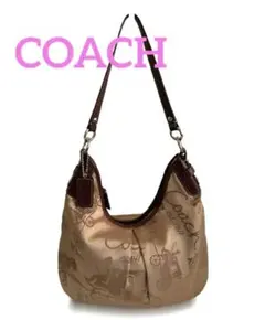coach コーチ　 ブラウン ショルダーバッグ F14480