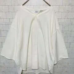 Item thumbnail for item 3718109a-886f-4966-87c4-b7fa29a72279