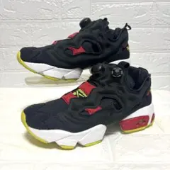 Reebok insta pump fury ポンプフューリー 23cm