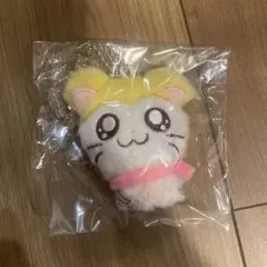とっとこハム太郎 たのしくぬいどり フィンガーパット マフラーちゃん