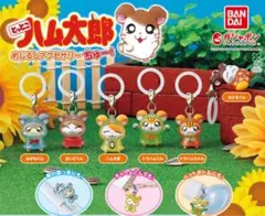 めじるしアクセサリー （とっとこハム太郎＆きらりんレボリューション）