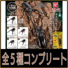 Item thumbnail for item 992a12ba-28aa-40ea-bacc-09725f5e4abd