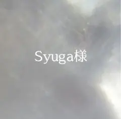 22.Syuga様　オーダー