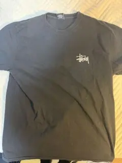 Stüssy ブラック Tシャツ