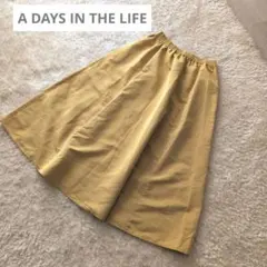ユナイテッドアローズ　a day in the life フレアースカートのサムネイル