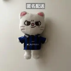 straykids KARMA SKZOO ver キーリング ジニレット - メルカリ