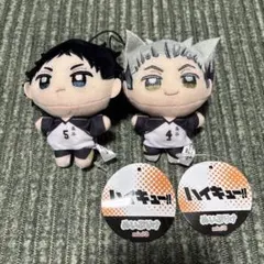 2026年最新】ハイキュー 木兎光太郎 赤葦京治の人気アイテム - メルカリ