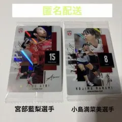 バレーボール 女子日本代表 宮部藍梨選手　小島満菜美選手　カード2枚セット