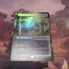 MTG 森の知恵 日本語 ボーダーレス foil スペシャルゲスト - メルカリ