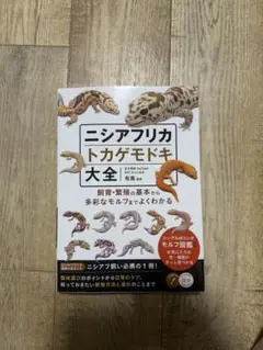 ニシアフリカトカゲモドキ大全 飼育・繁殖の基本から多彩なモルフまでよくわかる