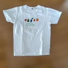 エリック・カール　はらぺこあおむし　Eric Carle Tシャツ 150サイズ