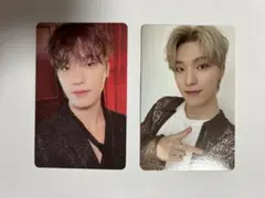 シーグリ トレカ ディノ DINO