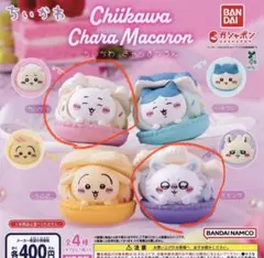 ちいかわ Chara Macaron ガチャガチャ
