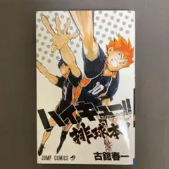 【ハイキュー!!】コンプリートガイドブック 排球本!