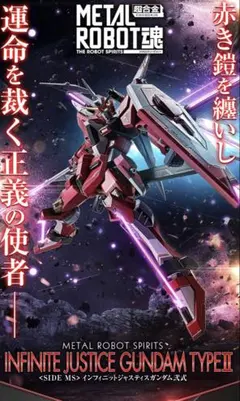 メタルロボット魂 インフィニットジャスティスガンダム弐式のサムネイル