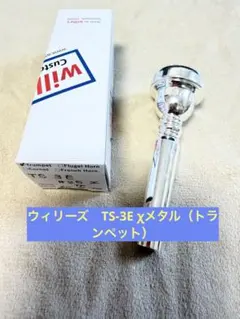 【レア】Willie’s TS3E χ-metal｜下神竜哉シグネチャーモデルのサムネイル
