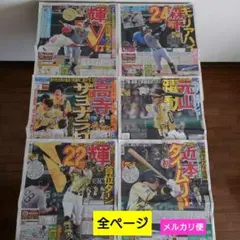 デイリースポーツ新聞阪神 7月〜27日 6紙全ページ メルカリ便 佐藤森下近本のサムネイル