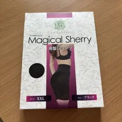 Magical Sherry 骨盤ショーツ ブラック XXLのサムネイル