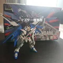 マスター様専用 ガンプラ　フリーダムガンダム　１／１４４　ＨＧ
