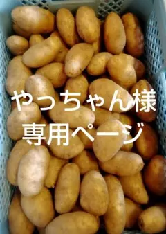 やっちゃん様専用ページです