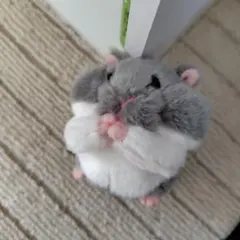 Item thumbnail for item 0d0fd65b-c461-45a1-93bf-01d4dd34209c