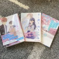 野いちご文庫　3冊セット