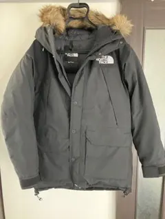 THE NORTH FACE ゴアテックスノースフェイス マウンテンダウンコート