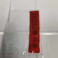 Item thumbnail for item 940eb410-5802-4929-9ac6-08bd7de39a4c