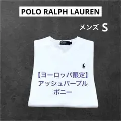 ‼️ヨーロッパ限定デザイン‼️ ラルフローレン Vネック ニット セーター　3639