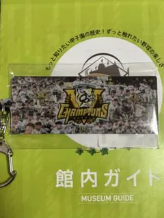 阪神タイガース　史上最速V キーホルダー