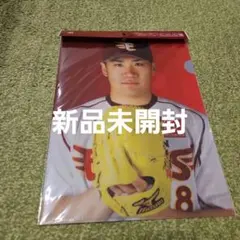 Item thumbnail for item 4dad42bc-21bf-494c-9892-f9762a36de55