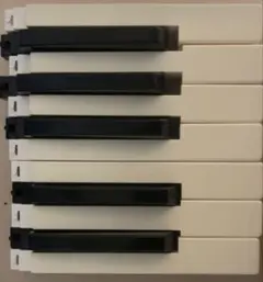 Roland 鍵盤交換用パーツ K22WBLのサムネイル