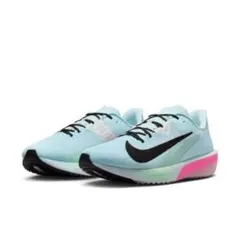 ナイキ エア ズーム ライバル フライ 4 27.5cm FV6040 400