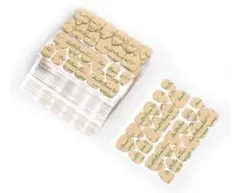 Item thumbnail for item ec1c30d9-c5a3-4052-b897-3613ba9f06ec