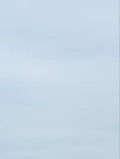 2025年最新】ステムサイクルエッセンスローションの人気アイテム