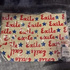 EXILEエコバック（小）のサムネイル
